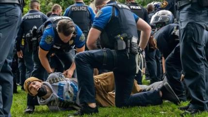 Despiden a 76 académicos en EEUU y Canadá por apoyar a Palestina