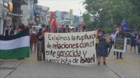 Mexicanos se manifiestan para exigir alto al genocidio israelí en Gaza
