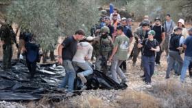 La UE exige frenar la violencia de colonos israelíes en Cisjordania