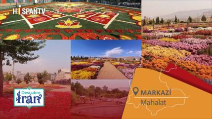 Descubre Irán: Mahalat, la “capital de las flores”