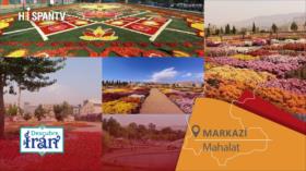 Descubre Irán: Mahalat, la “capital de las flores”