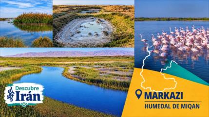 Descubre Irán: humedal de Miqan, tesoro natural de provincia de Markazi y refugio de aves migratorias