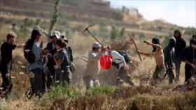 Italia pide liberar a cinco activistas secuestradas en Cisjordania